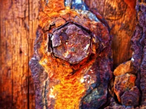 Exploring the Role of Corrosion Specialists